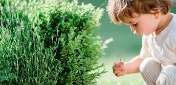 Sonnentor: Příběh čajů a koření z Čejkovic, které miluje celý svět 🌿🍃